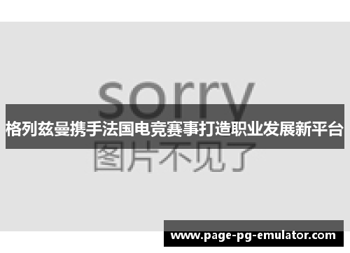 格列兹曼携手法国电竞赛事打造职业发展新平台