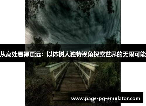 从高处看得更远：以体树人独特视角探索世界的无限可能