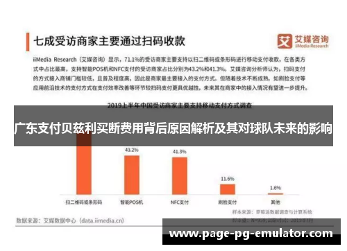 广东支付贝兹利买断费用背后原因解析及其对球队未来的影响