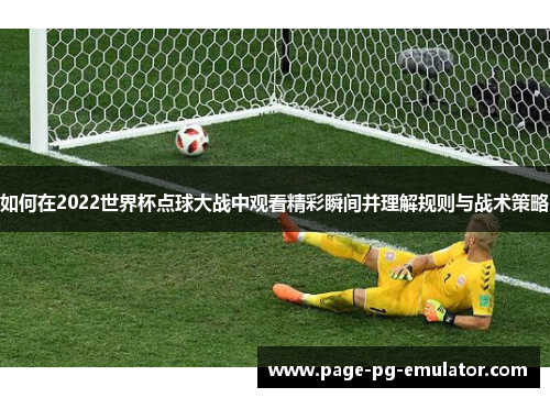 如何在2022世界杯点球大战中观看精彩瞬间并理解规则与战术策略