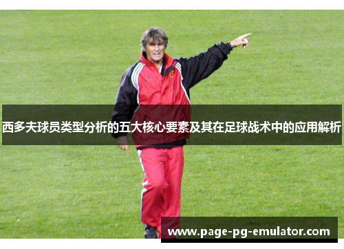 西多夫球员类型分析的五大核心要素及其在足球战术中的应用解析