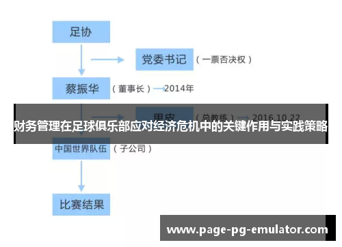 财务管理在足球俱乐部应对经济危机中的关键作用与实践策略