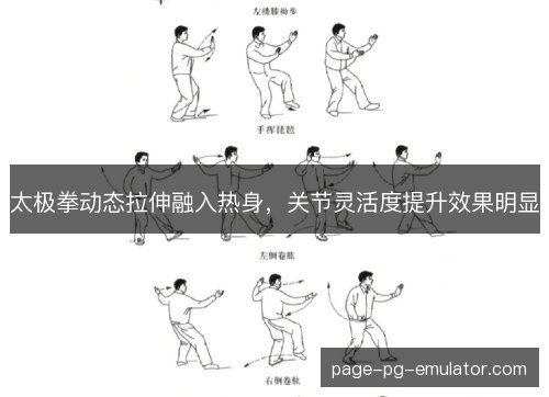 太极拳动态拉伸融入热身,关节灵活度提升效果明显 太极拳动态拉伸融入热身,关节灵活度提升效果明显